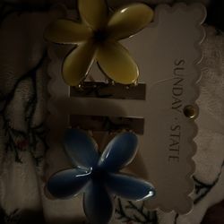 hair clips! (only cash)