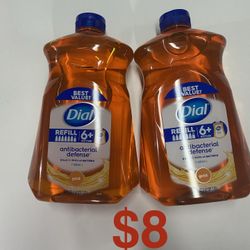 Dial Hand Soap Set