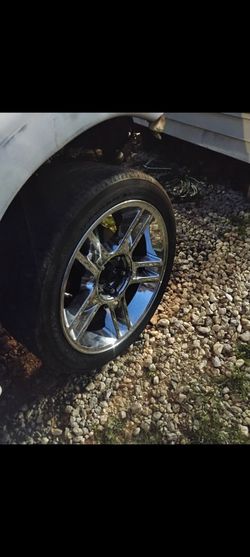 Harley rims