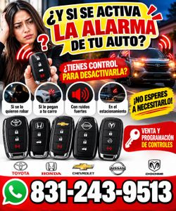 L o Tienes Control De Alarma Para Tu VehÃculo