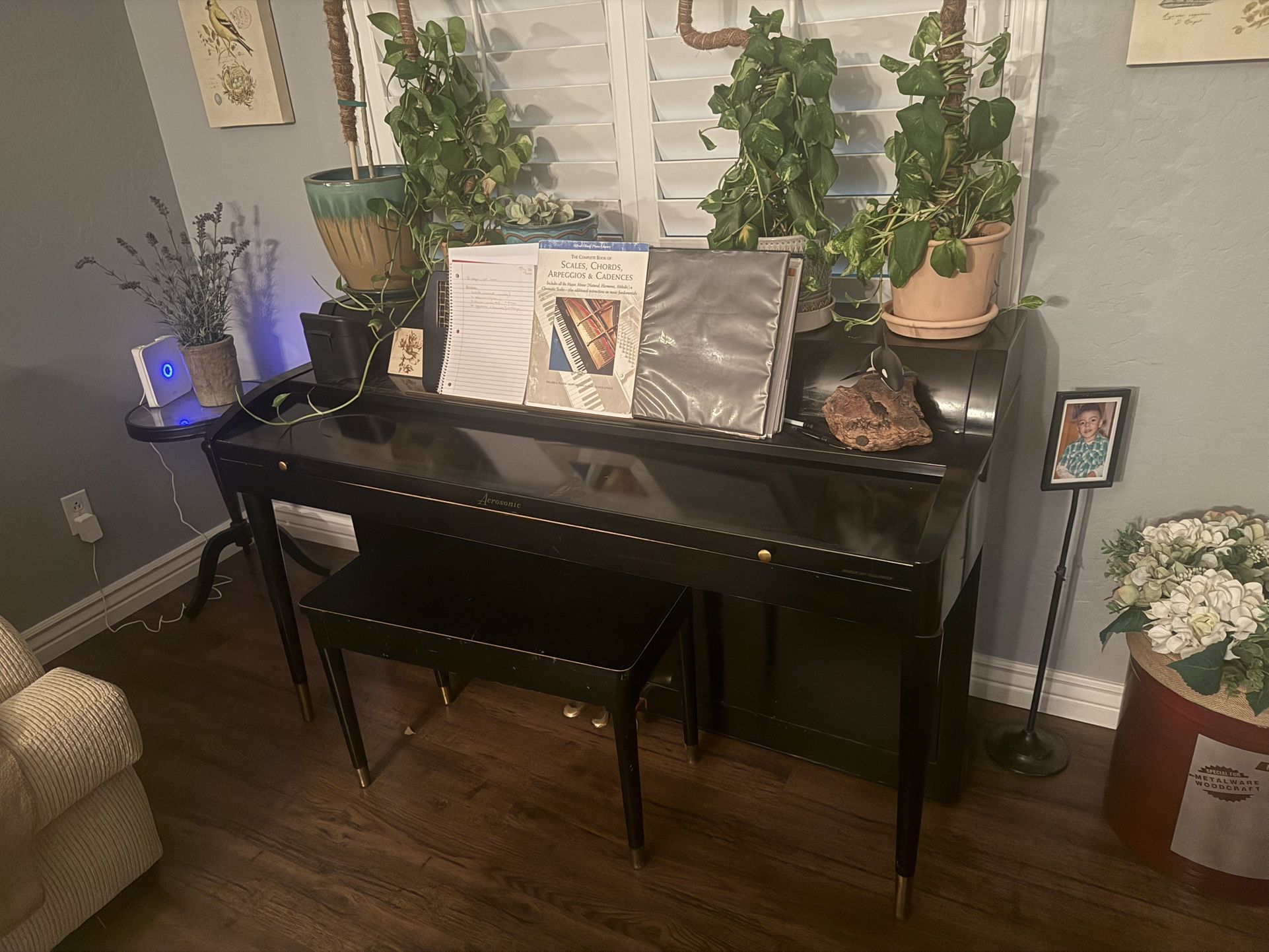 Acrosonic Piano