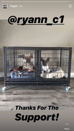 New dog kennel