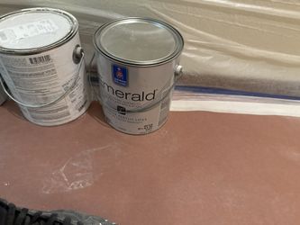 Exterior Paint