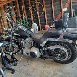 2004 Harley Davidson Stx