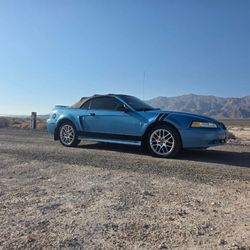 2000 Ford Mustang