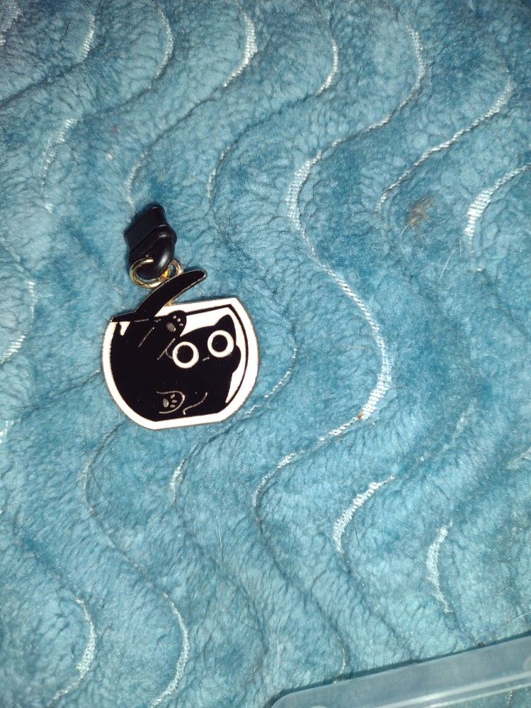 Dust Plugs Cats