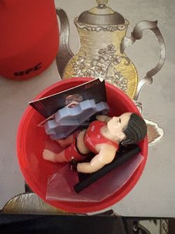ufc octagon fighters