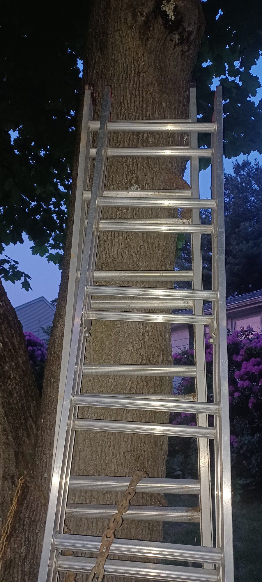 Two  16 Ft WERNER  Ladders $ 125