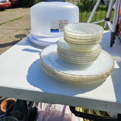 Glass Plates and Plastic Cake Tote