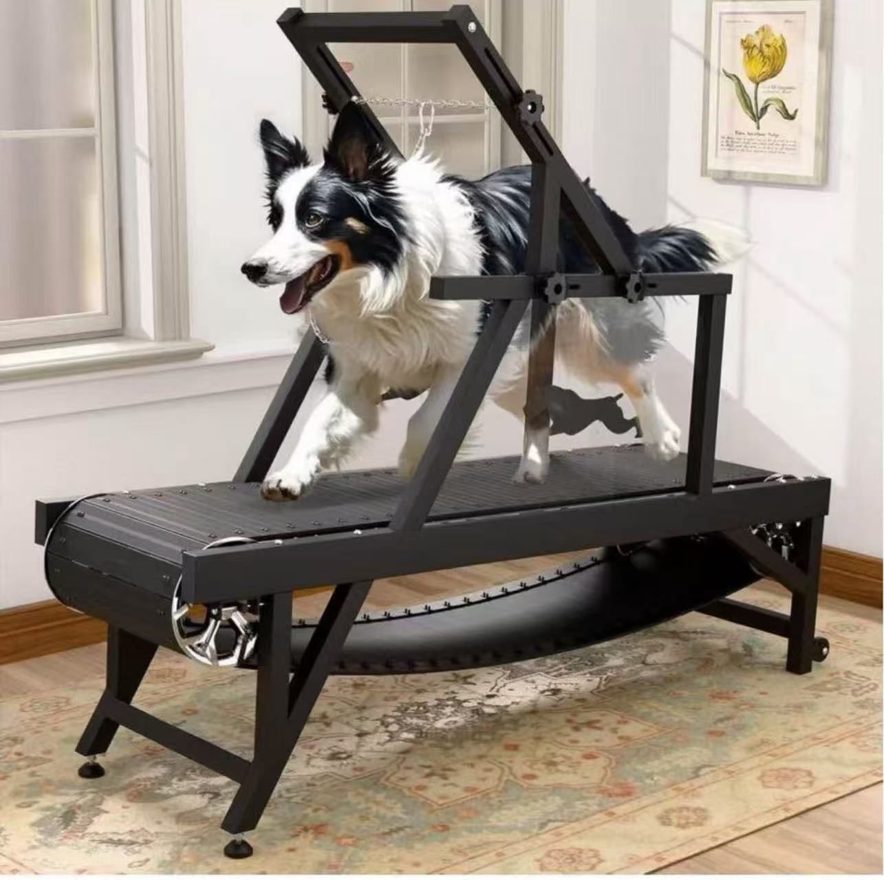 Dog Treadmill for Large/Medium Dogs, Doggy Treadmill with Brake and Plastic Track, Dog Slat Mill to Keep Active and Fit, Dog Pacer Treadmill Up to 250