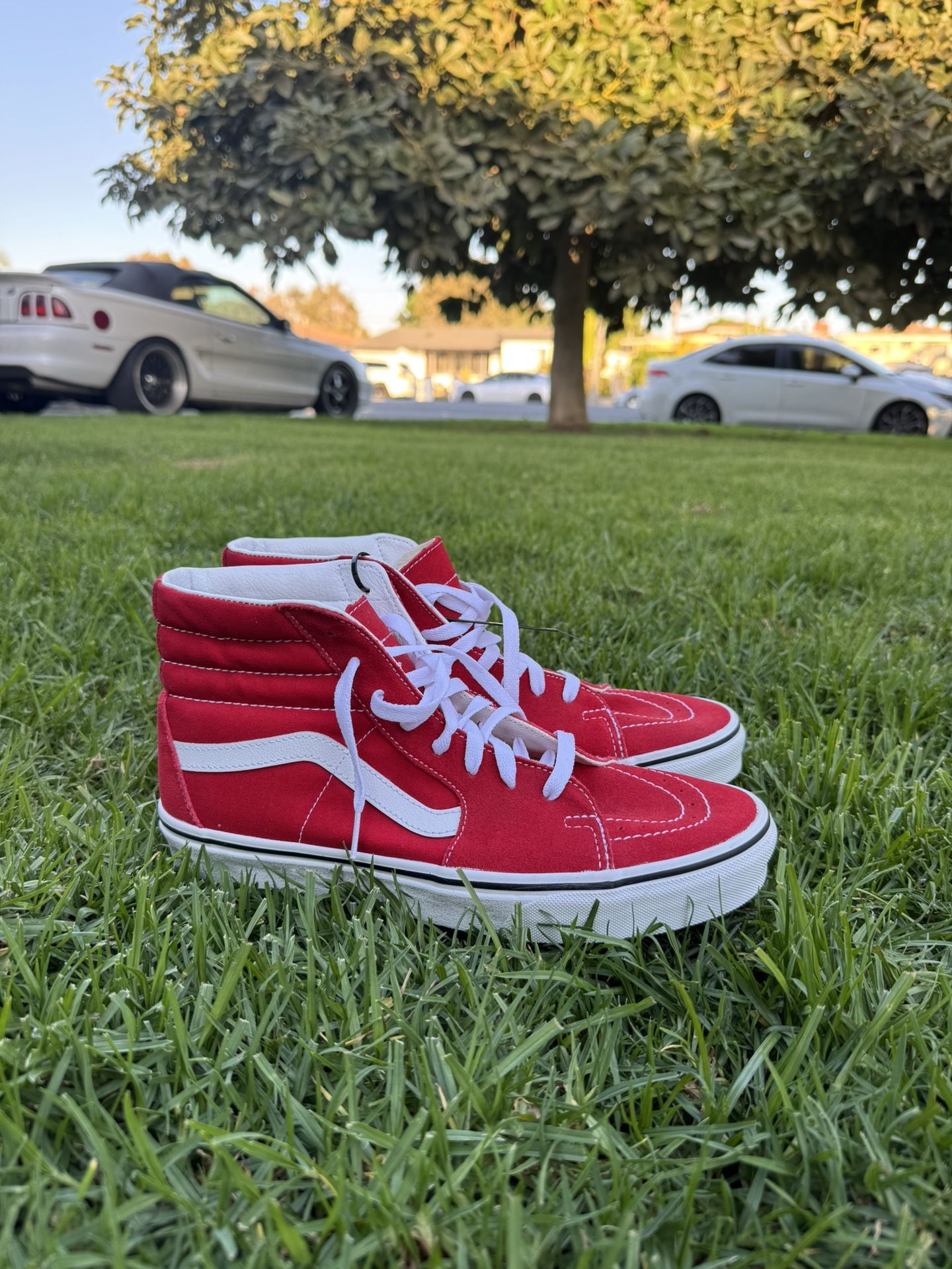 Sk8 HIGH VANS