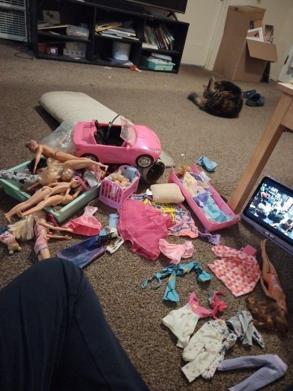 Barbie Toys I Have A Lot Of Barbies And Stuff 