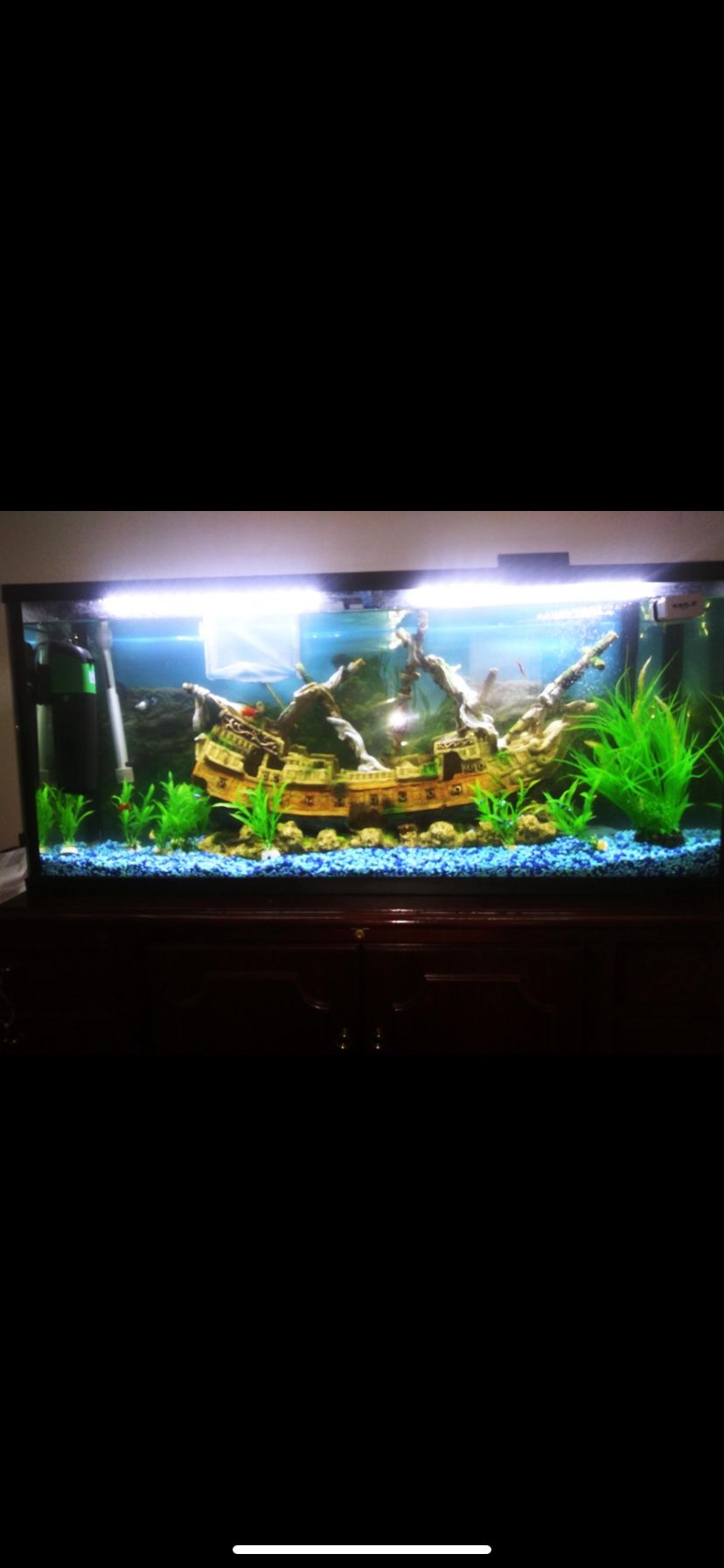 Fish Tank And Decorations