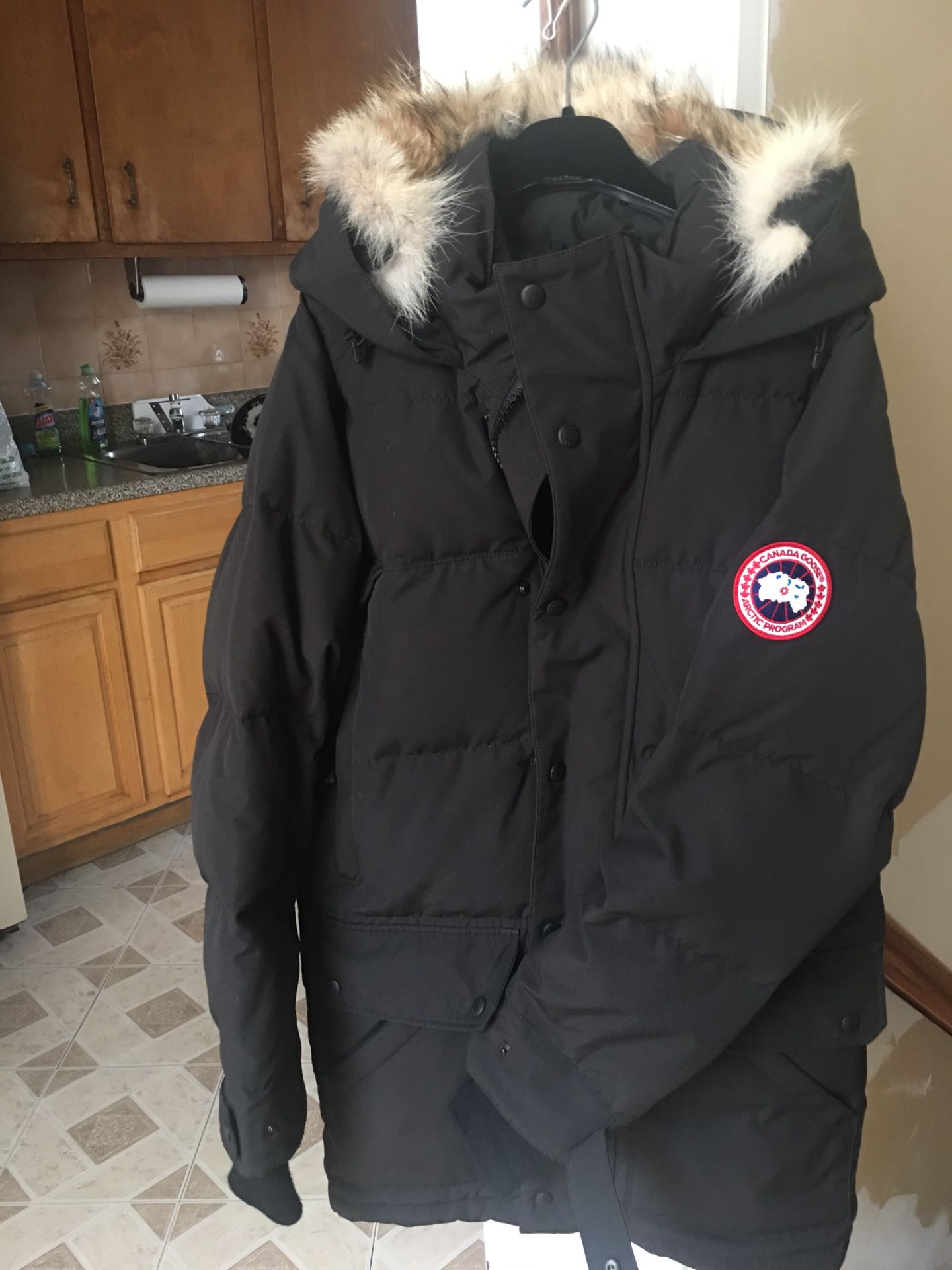 Canada Goose Winter Jacket (Male)