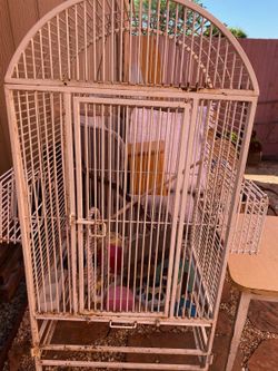 Bird Cage