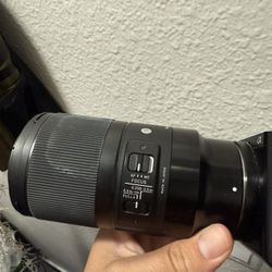 Sigma 70mm Macro For Sony E Mount