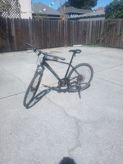 Giant Bike