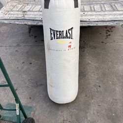 Punching Bag 