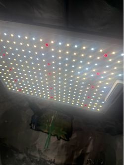 Grow tent and light combo