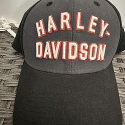 Harley-Davidson Men's New Era 39thirty Large fitted Baseball Cap
