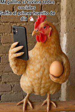 Fresh Eggs(huevo Fresco)