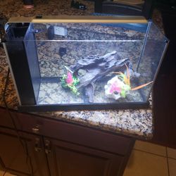fish tank