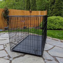 Midwest iCrate - XL Folding Dog Crate