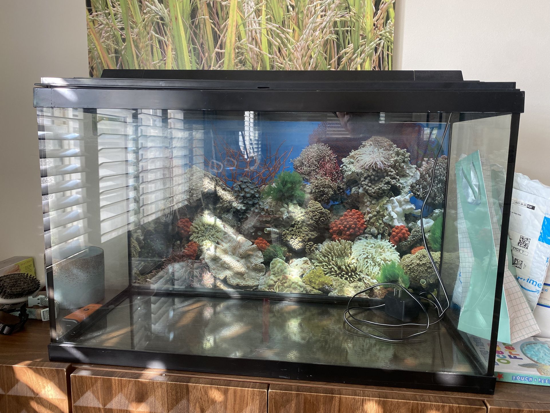 30 Gallon Fish Tank