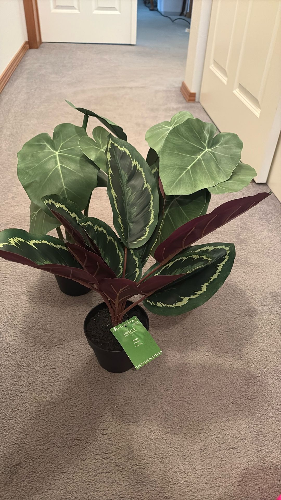 Artificial Plants