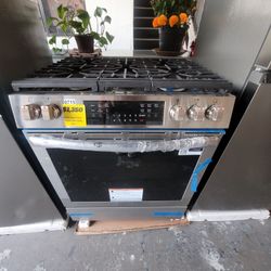 Gas Stove 