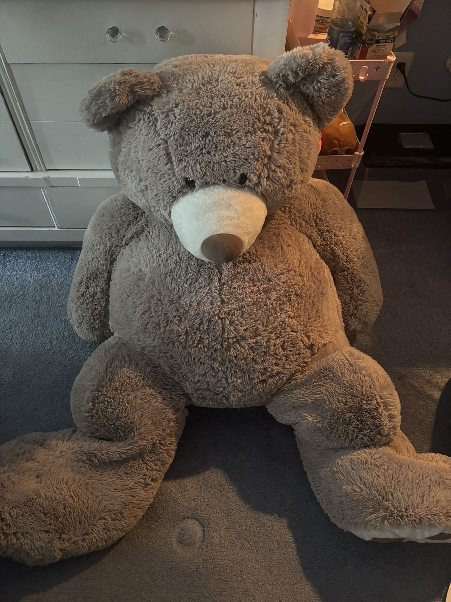 Large teddy bear