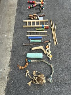 Assorted Parrot Toys And Perches