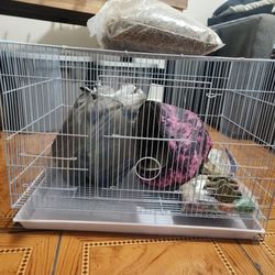 Cage for rabbit with food & treats