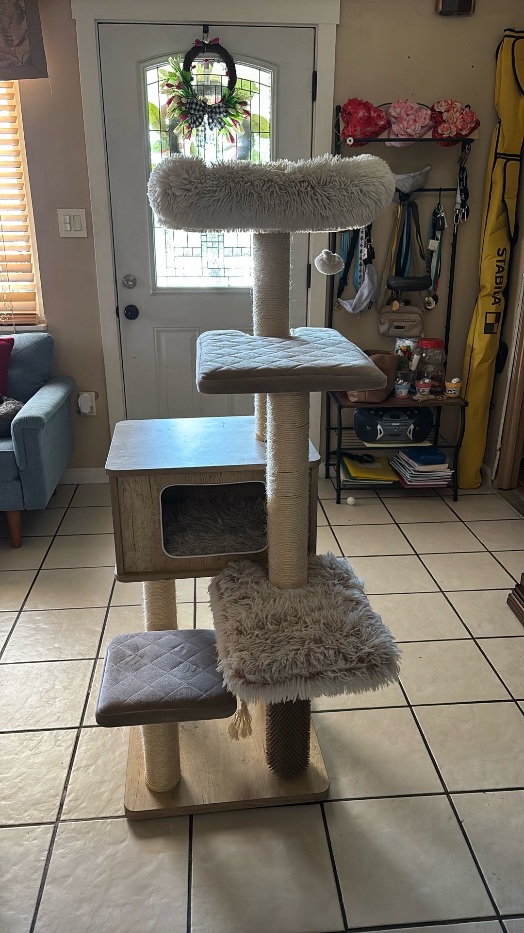 For Cat 