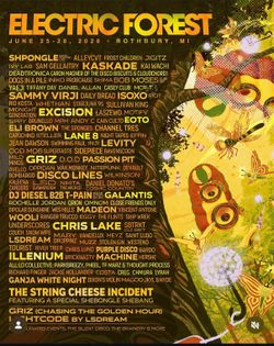 Electric Forest GA Wristband