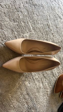 BCBG zapatillas