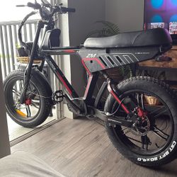 E Bike
