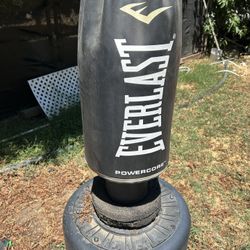 Boxing Punching bag everlast