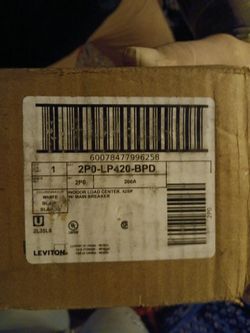 SES Leviton 200 amp
