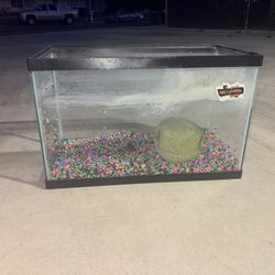 10 Gallon Fish tank 