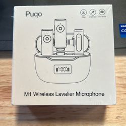 New Wireless Microphone / Holiday Gift