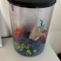 Fish Tank