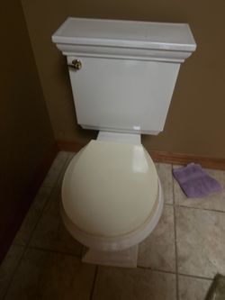 Kohler toilet