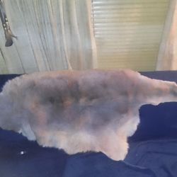Unique Roo Bed Cover
