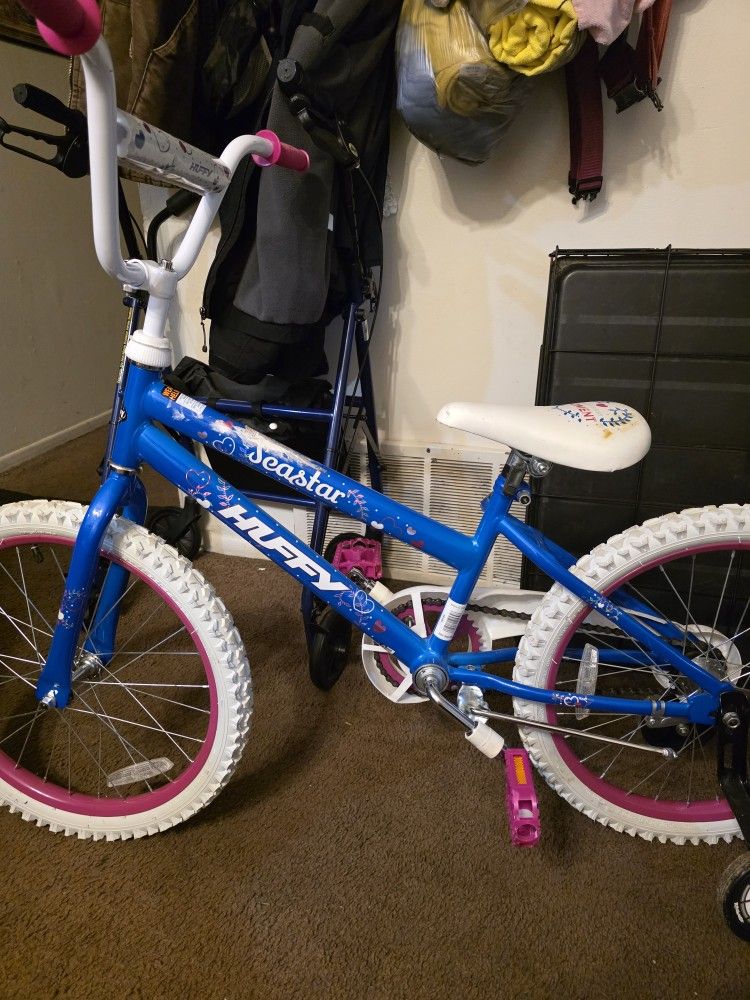 20 Inch Girls Bike