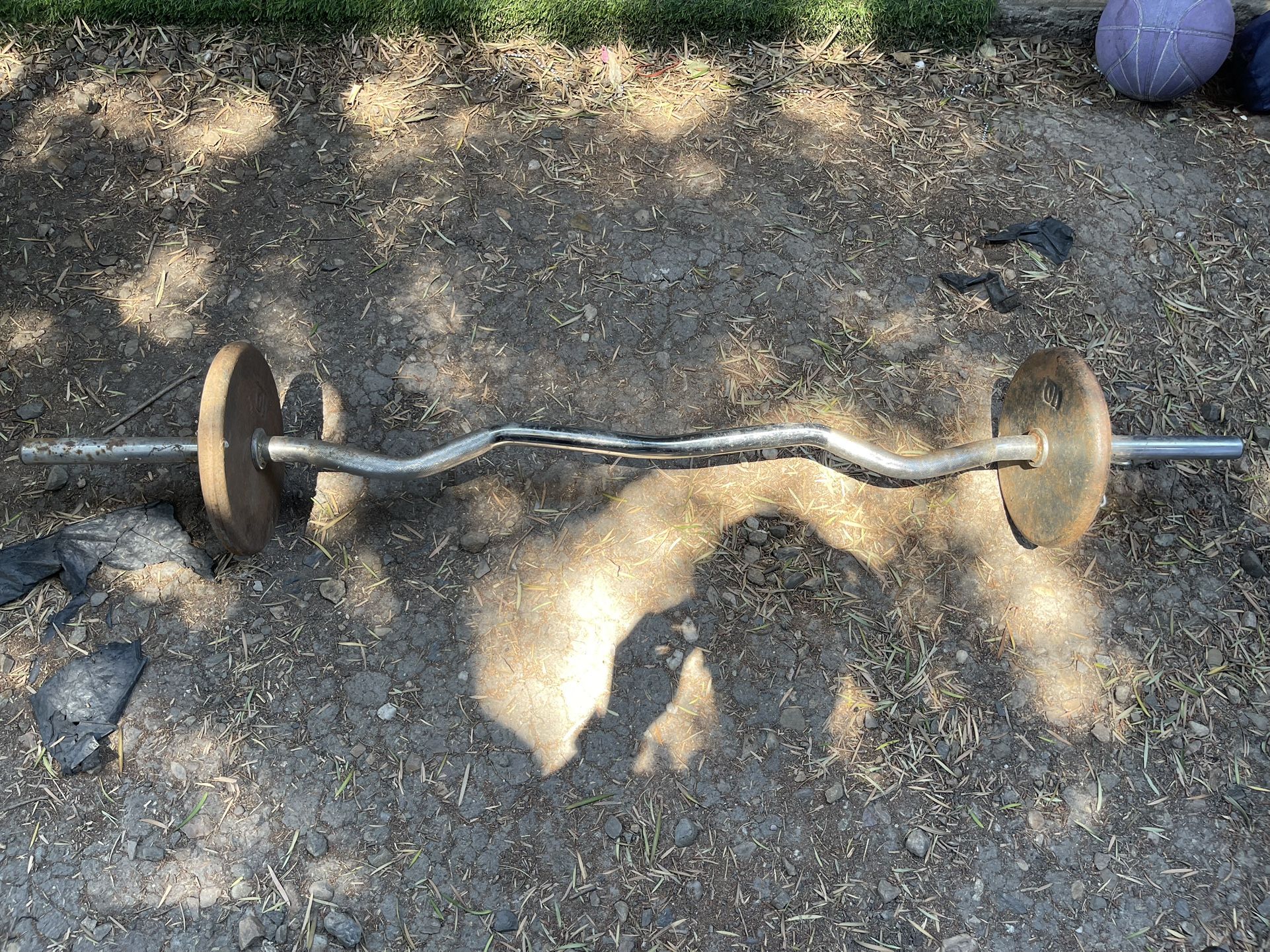 Standard Curl Bar