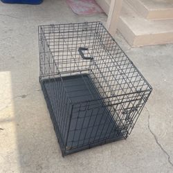 Dog Kennel