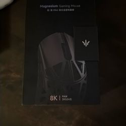 WL mouse beast X mini pro