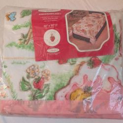 Rare Vintage 1980 Strawberry Shortcake Twin Blanket - New in Package!