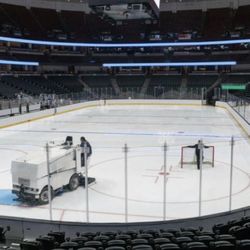 Vegas Golden Knight At Ducks